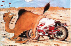 Avatar de l’utilisateur