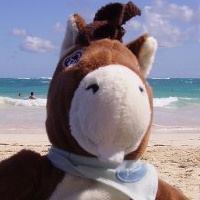 Avatar de l’utilisateur