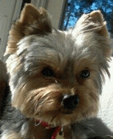 Avatar de l’utilisateur