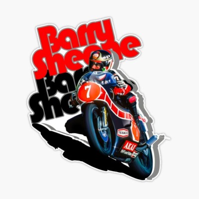 st,extra_large,507x507-pad,600x600,f8f8f8.u4.jpg
